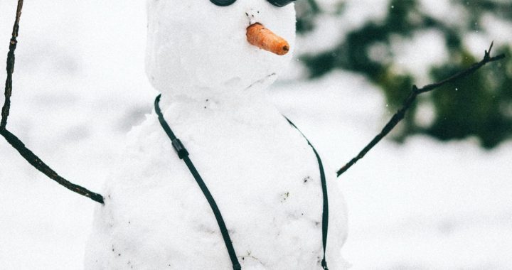 snowman with camera